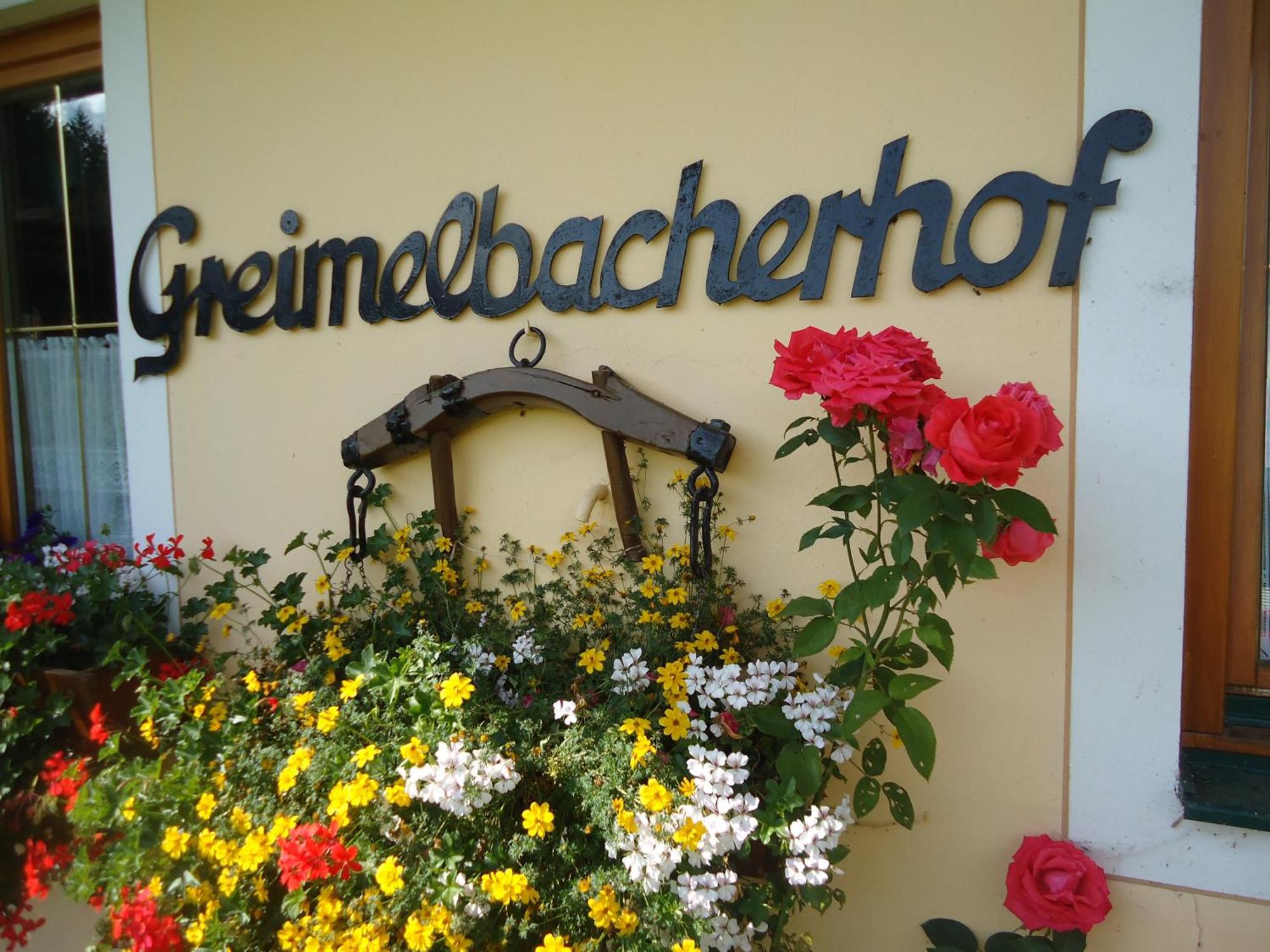 Pension-Greimelbacherhof 람자우 암 다흐스타인 외부 사진