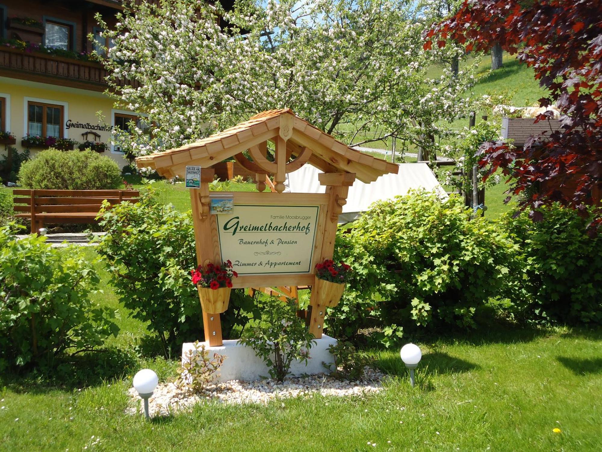 Pension-Greimelbacherhof 람자우 암 다흐스타인 외부 사진