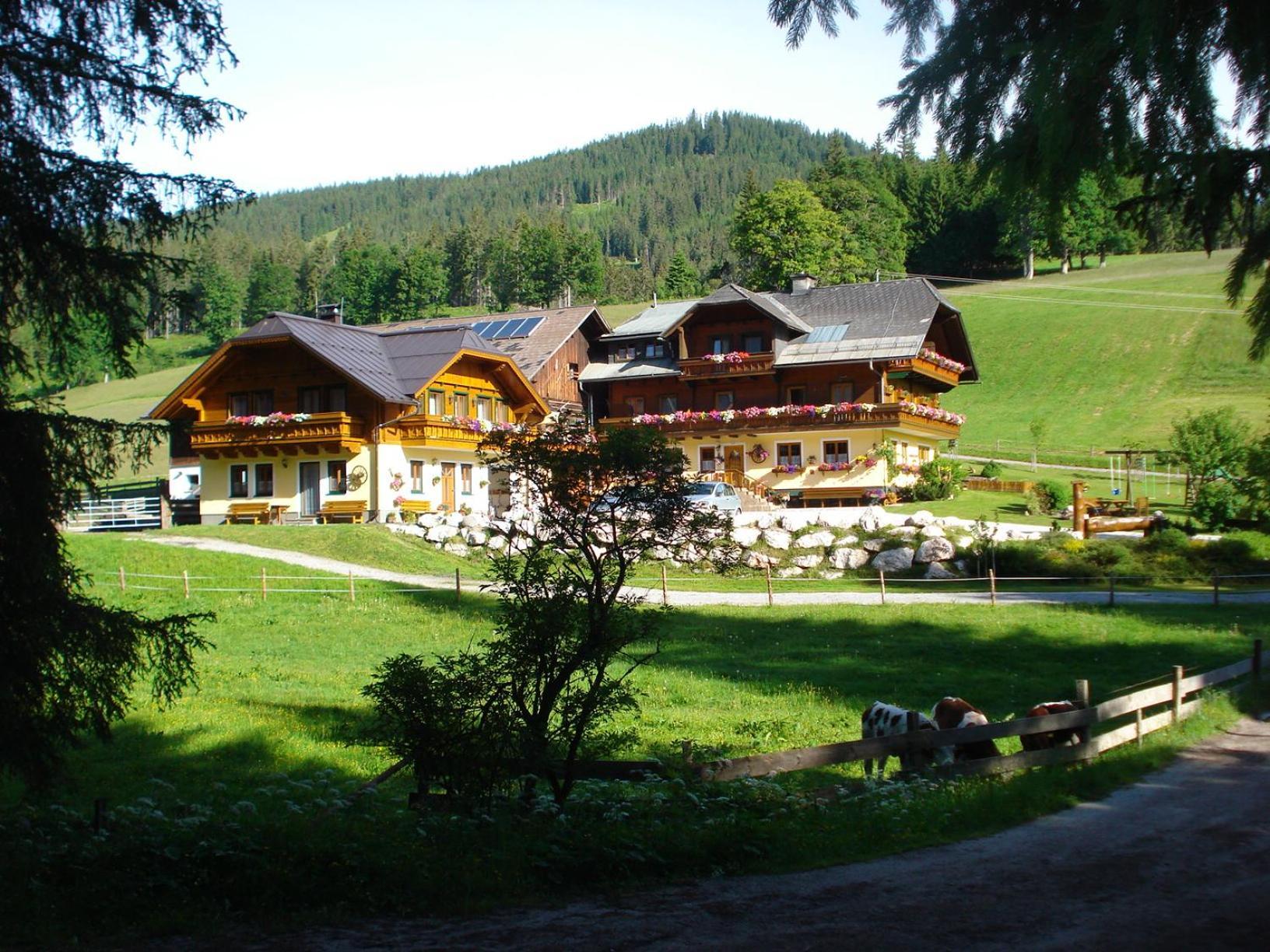 Pension-Greimelbacherhof 람자우 암 다흐스타인 외부 사진