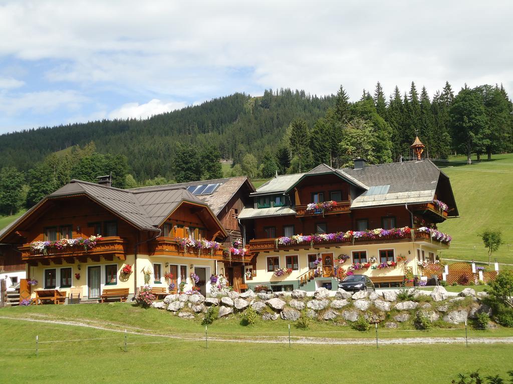 Pension-Greimelbacherhof 람자우 암 다흐스타인 외부 사진